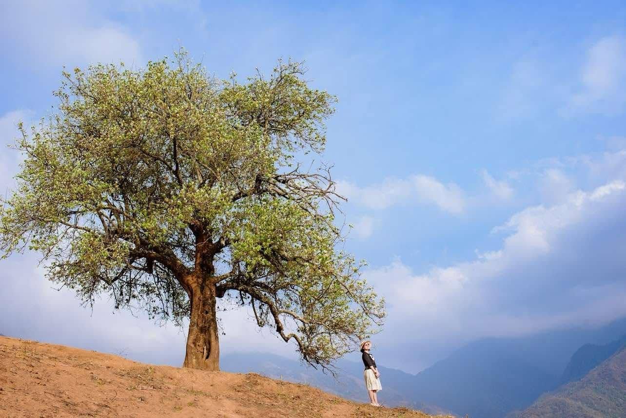 4-Day Cycling Tour: Hanoi to Ngoc Chien & Nam Nghep
